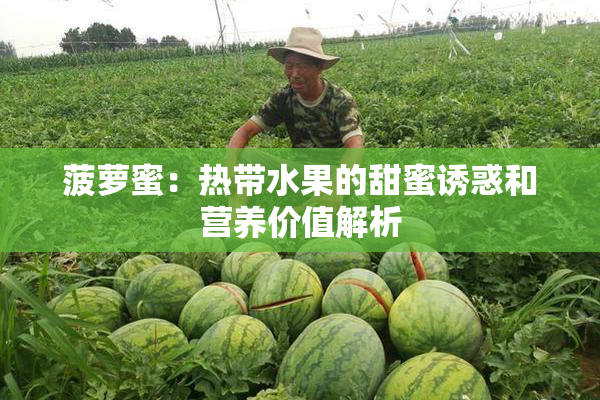 菠萝蜜：热带水果的甜蜜诱惑和营养价值解析