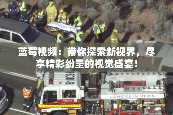 蓝莓视频：带你探索新视界，尽享精彩纷呈的视觉盛宴！