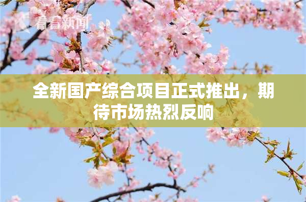 全新国产综合项目正式推出，期待市场热烈反响