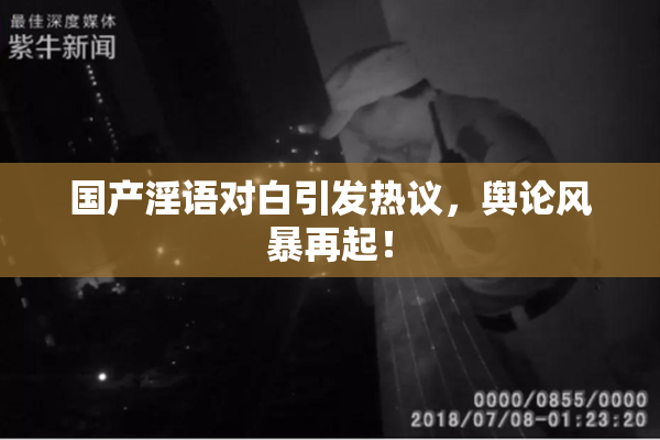 国产淫语对白引发热议，舆论风暴再起！
