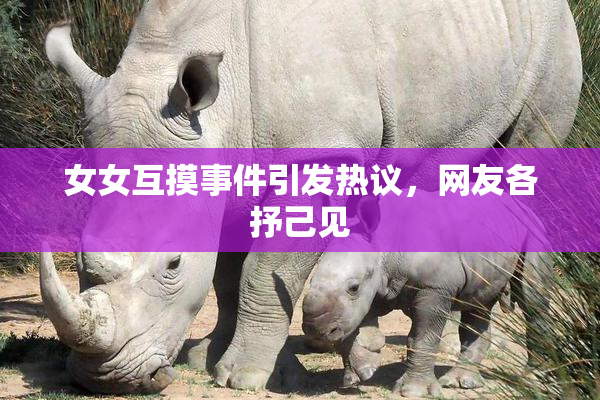 女女互摸事件引发热议，网友各抒己见