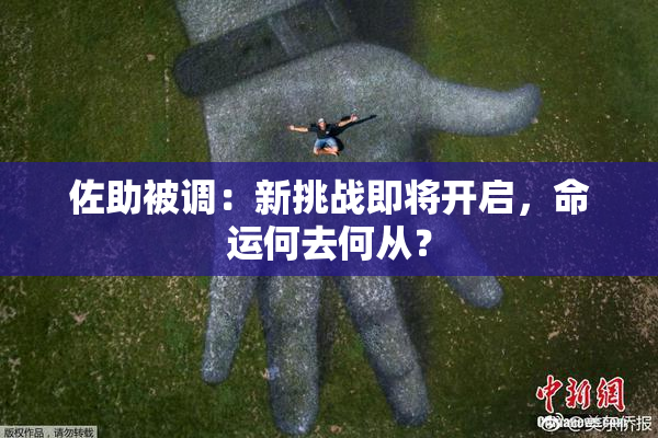 佐助被调：新挑战即将开启，命运何去何从？