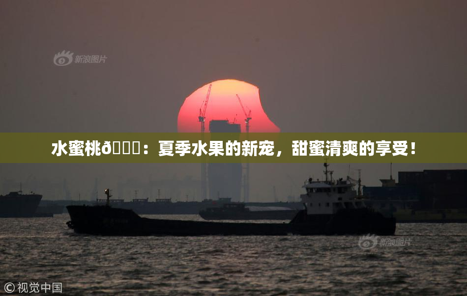 水蜜桃🍑：夏季水果的新宠，甜蜜清爽的享受！
