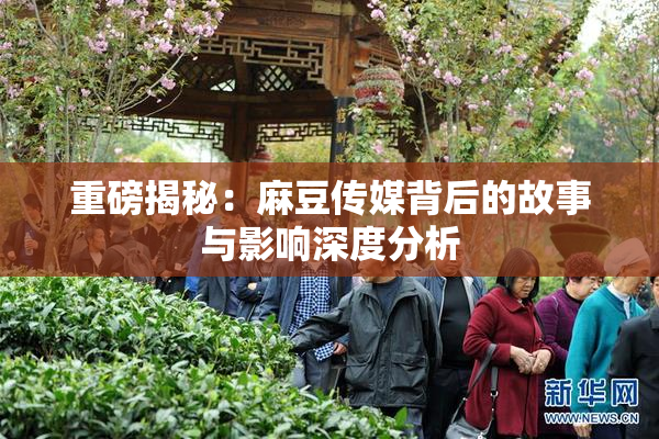 重磅揭秘：麻豆传媒背后的故事与影响深度分析