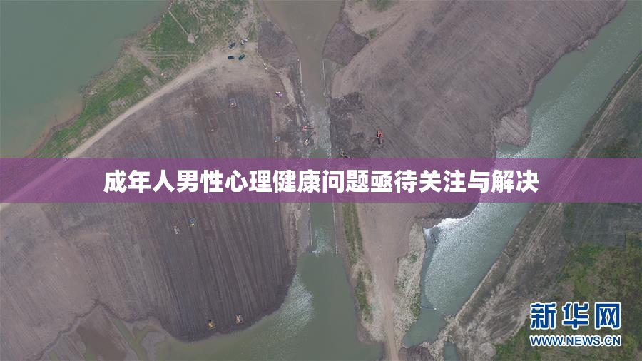 成年人男性心理健康问题亟待关注与解决