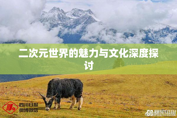 二次元世界的魅力与文化深度探讨