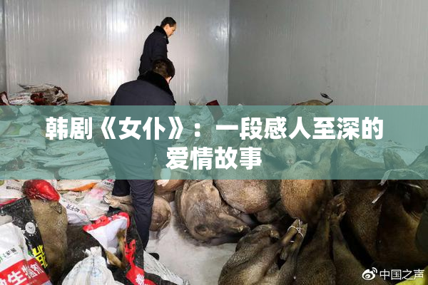 韩剧《女仆》：一段感人至深的爱情故事