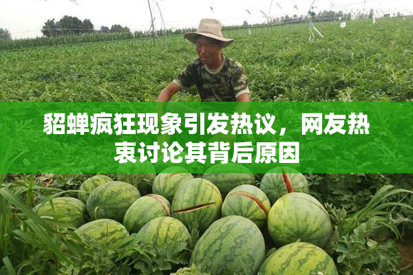 貂蝉疯狂现象引发热议，网友热衷讨论其背后原因
