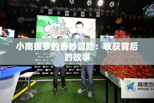 小南拔萝的奇妙冒险：收获背后的故事