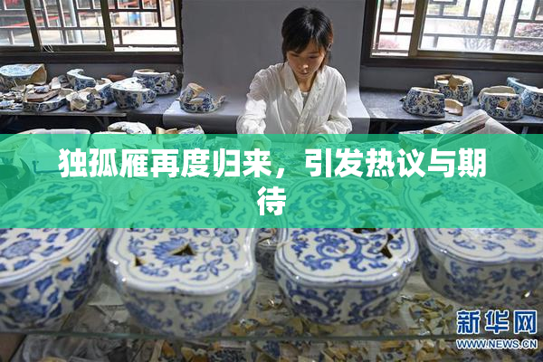 独孤雁再度归来，引发热议与期待