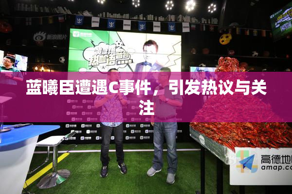 蓝曦臣遭遇C事件，引发热议与关注