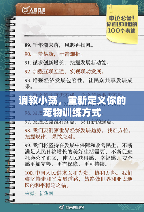 调教小荡，重新定义你的宠物训练方式