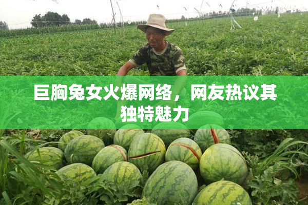 巨胸兔女火爆网络，网友热议其独特魅力