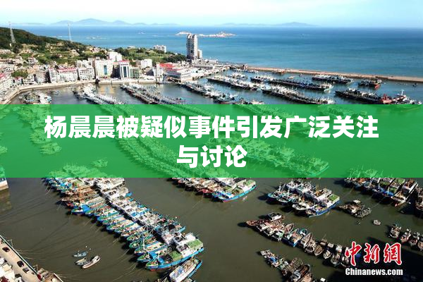 杨晨晨被疑似事件引发广泛关注与讨论