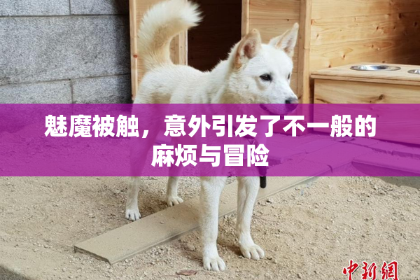 魅魔被触，意外引发了不一般的麻烦与冒险