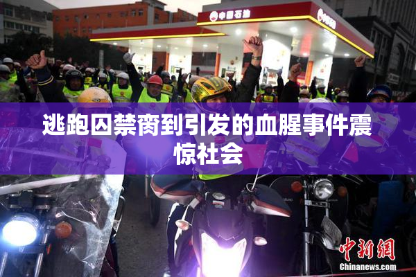 逃跑囚禁脔到引发的血腥事件震惊社会