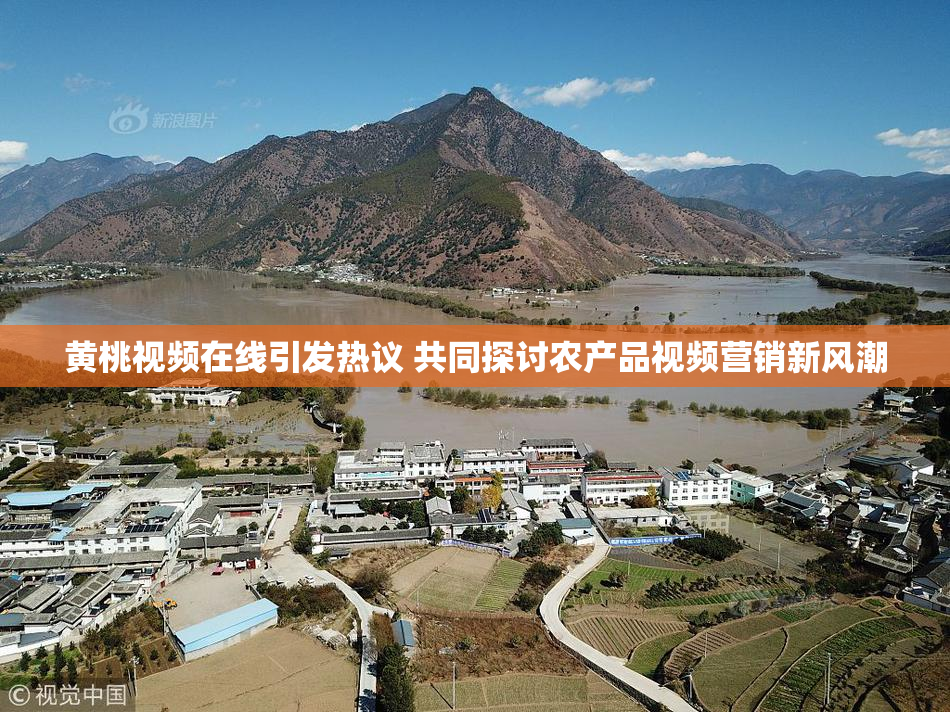 黄桃视频在线引发热议 共同探讨农产品视频营销新风潮