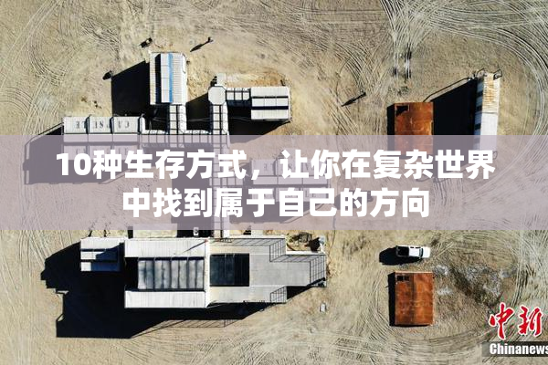 10种生存方式，让你在复杂世界中找到属于自己的方向