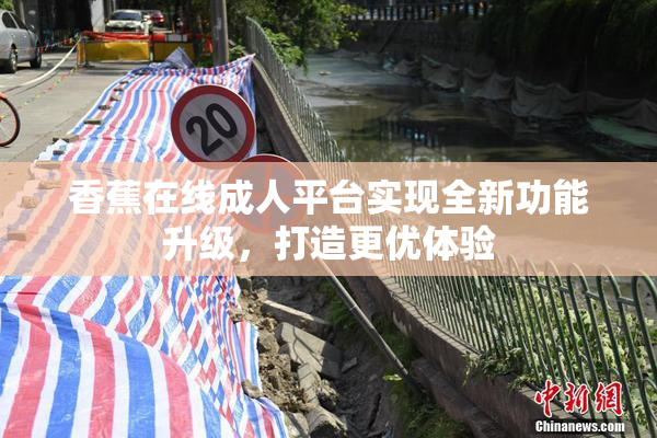 香蕉在线成人平台实现全新功能升级，打造更优体验
