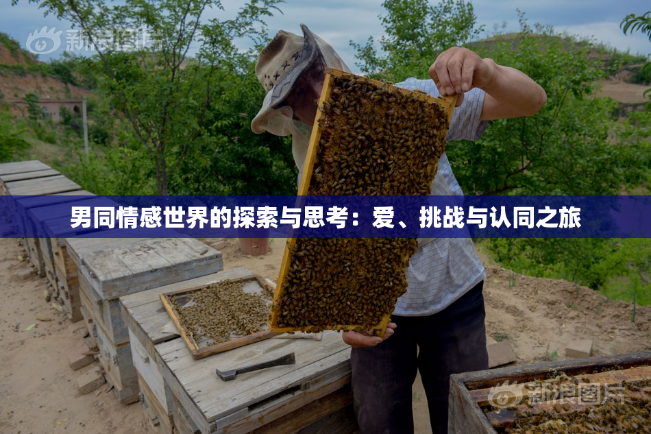 男同情感世界的探索与思考：爱、挑战与认同之旅
