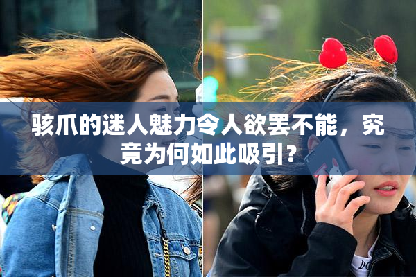 骇爪的迷人魅力令人欲罢不能，究竟为何如此吸引？
