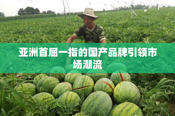 亚洲首屈一指的国产品牌引领市场潮流