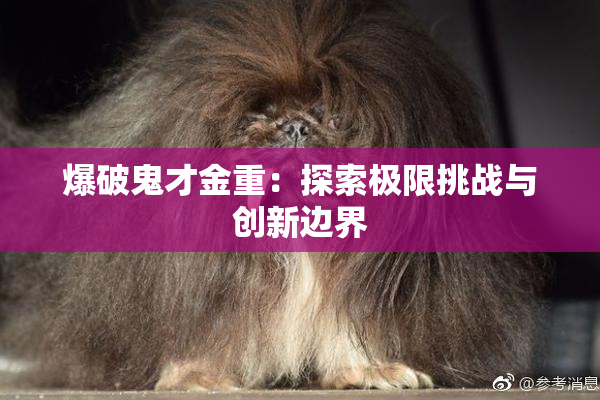 爆破鬼才金重：探索极限挑战与创新边界