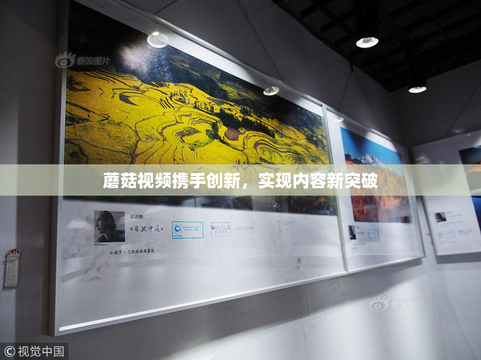 蘑菇视频携手创新，实现内容新突破