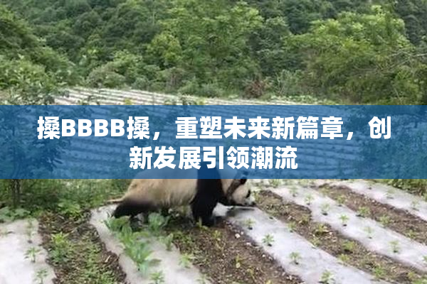 搡BBBB搡，重塑未来新篇章，创新发展引领潮流