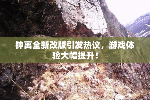 钟离全新改版引发热议，游戏体验大幅提升！