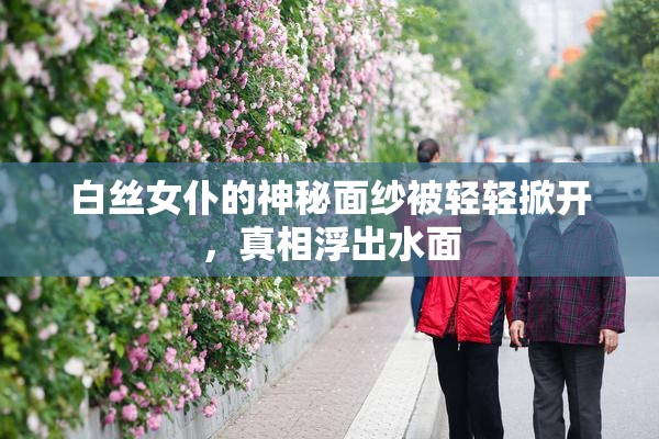 白丝女仆的神秘面纱被轻轻掀开，真相浮出水面