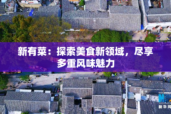 新有菜：探索美食新领域，尽享多重风味魅力