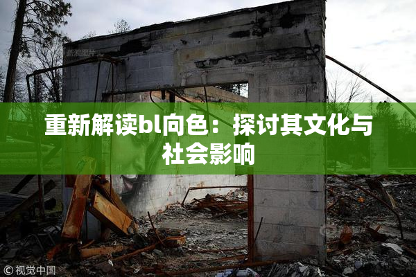 重新解读bl向色：探讨其文化与社会影响