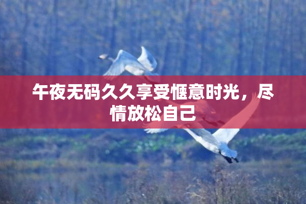 午夜无码久久享受惬意时光，尽情放松自己