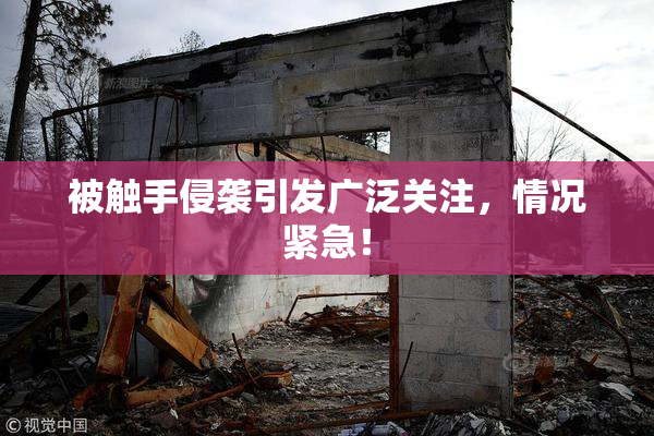 被触手侵袭引发广泛关注，情况紧急！