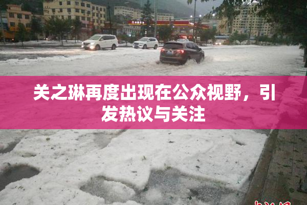 关之琳再度出现在公众视野，引发热议与关注