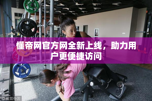 懂帝网官方网全新上线，助力用户更便捷访问