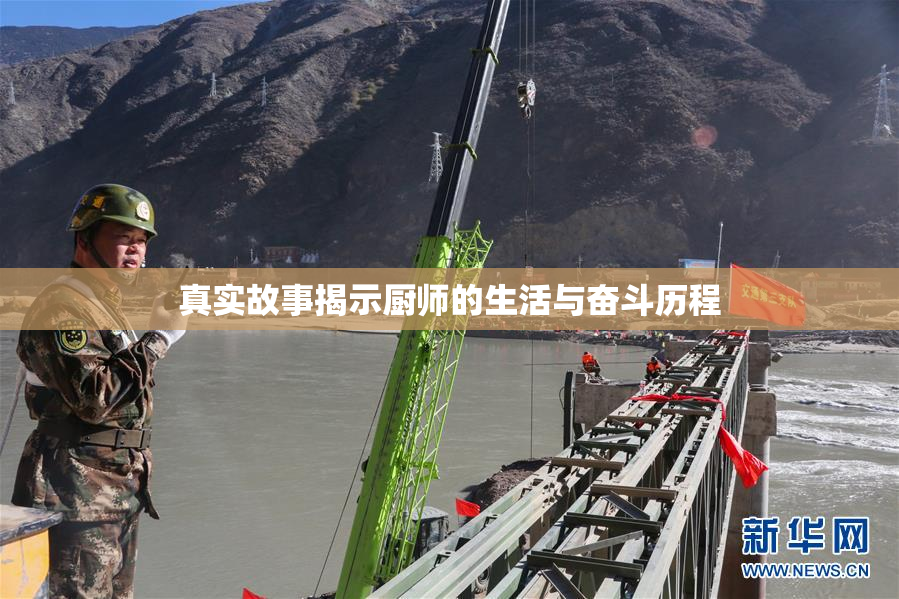真实故事揭示厨师的生活与奋斗历程