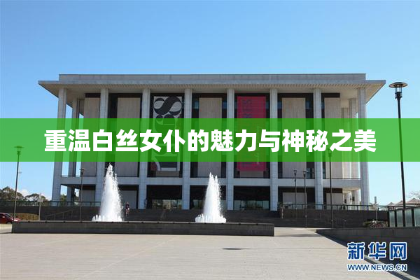 重温白丝女仆的魅力与神秘之美