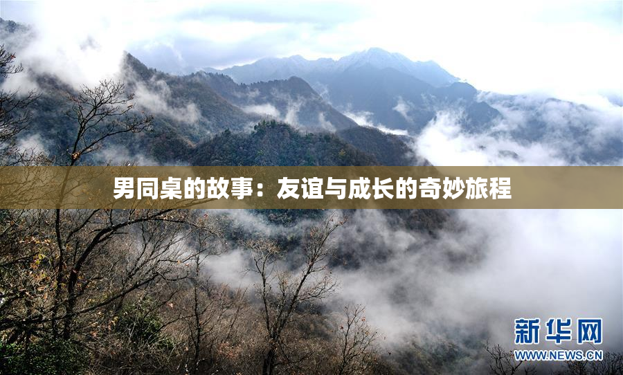 男同桌的故事：友谊与成长的奇妙旅程