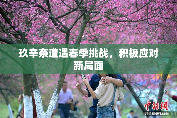 玖辛奈遭遇春季挑战，积极应对新局面