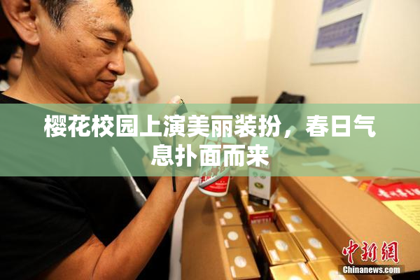 樱花校园上演美丽装扮，春日气息扑面而来