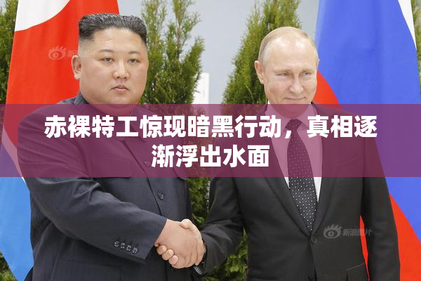 赤裸特工惊现暗黑行动，真相逐渐浮出水面