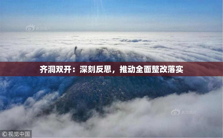 齐洞双开：深刻反思，推动全面整改落实