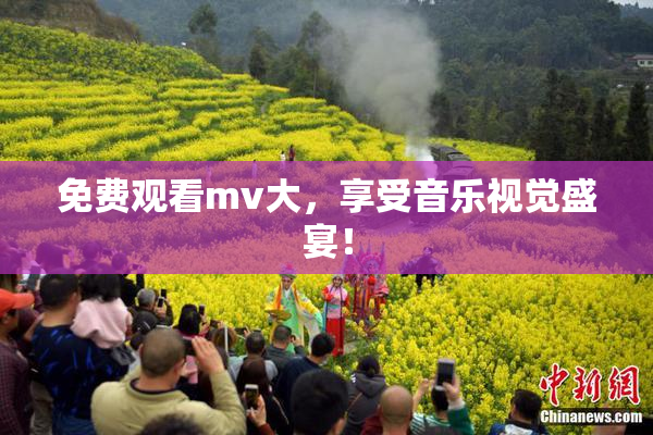 免费观看mv大，享受音乐视觉盛宴！