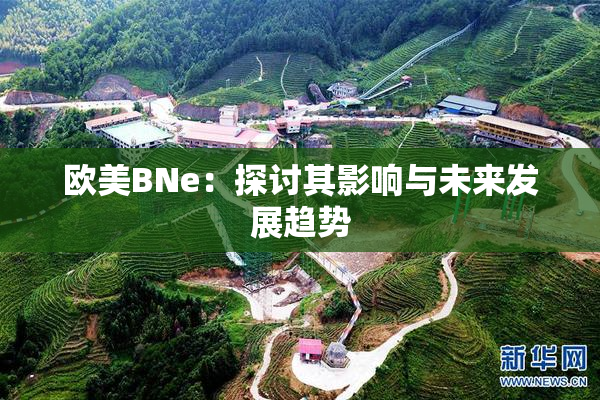 欧美BNe：探讨其影响与未来发展趋势