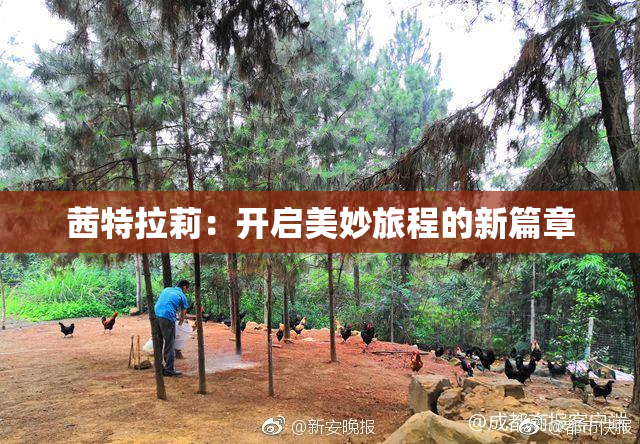 茜特拉莉：开启美妙旅程的新篇章