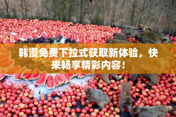 韩漫免费下拉式获取新体验，快来畅享精彩内容！