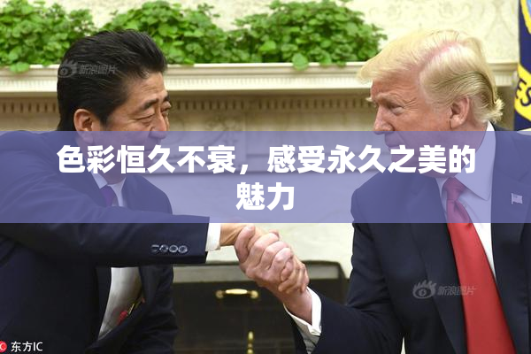 色彩恒久不衰，感受永久之美的魅力