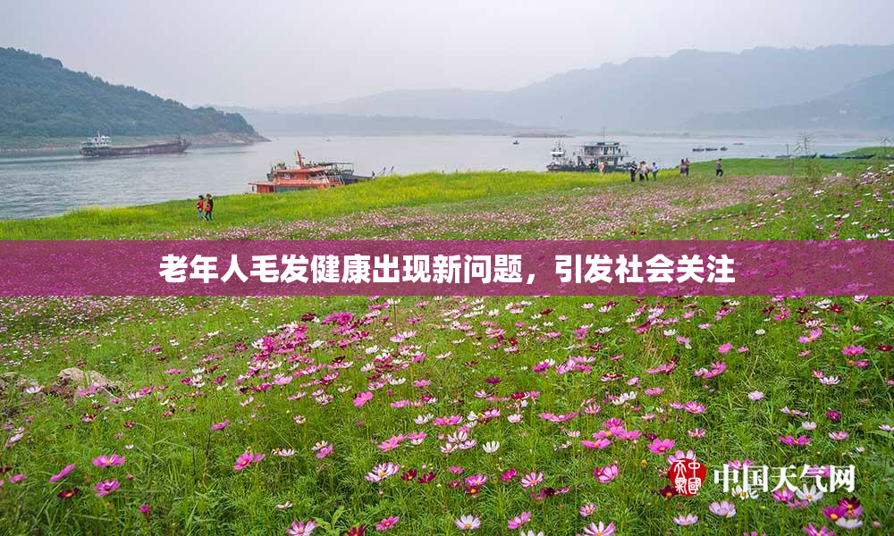 老年人毛发健康出现新问题，引发社会关注